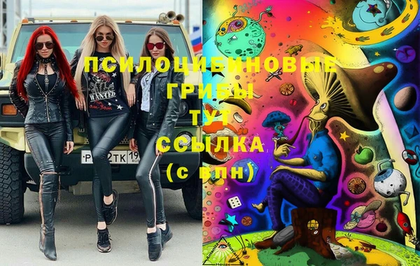 сатива Киренск