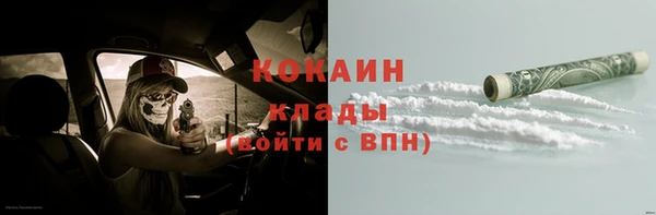 сатива Киренск