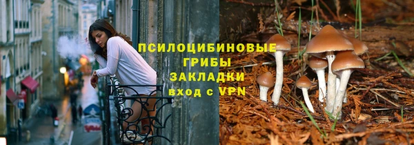 сатива Киренск