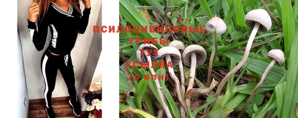 скорость Киреевск