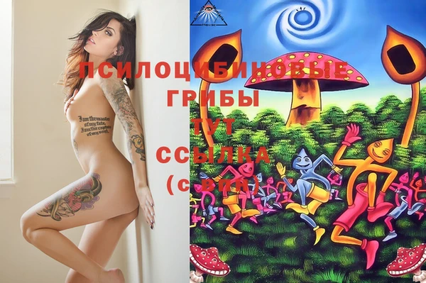 амфетамин Кинешма