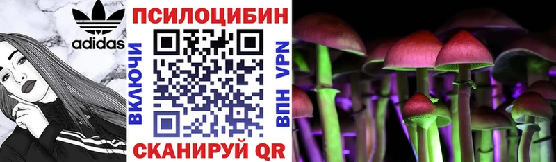 Псилоцибиновые грибы мицелий  Купить где  Дзержинский 